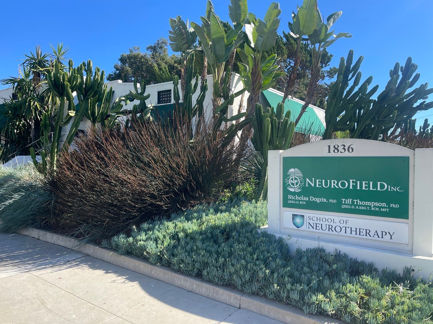 NeuroField Neurotherapy