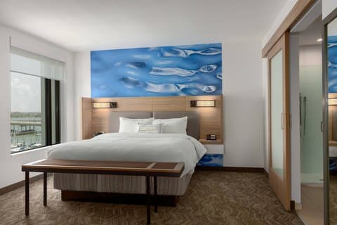 SpringHill Suites by Marriott Bradenton Downtown/Riverfront — photo 2