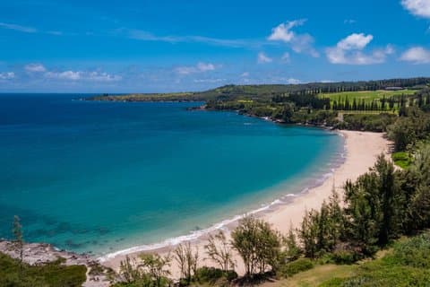The Ritz-Carlton Maui, Kapalua — photo 4