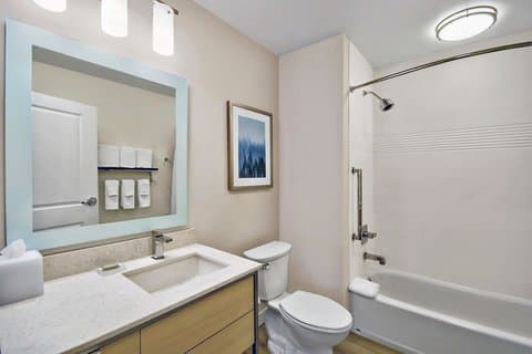 TownePlace Suites by Marriott Asheville West — photo 4