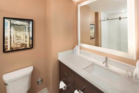 TownePlace Suites by Marriott San Diego Downtown — photo 3